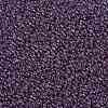 MIYUKI Round Rocailles Beads SEED-X0055-RR0312-3