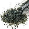 TOHO Round Seed Beads X-SEED-TR11-0243-1