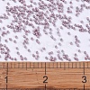 MIYUKI Delica Beads Small SEED-X0054-DBS0379-4