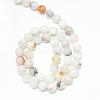 Natural Agate Bead Strands G-R346-10mm-26-2