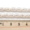 Natural Cultured Freshwater Pearl Beads Strands PEAR-P062-06B-5