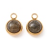 Natural Labradorite Charms G-K325-01G-04-1