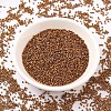MIYUKI Delica Beads SEED-MY11-DB0505-2
