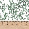 TOHO Round Seed Beads X-SEED-TR08-2202-4
