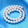 Shell Pearl Beads Strands X-SP8MM701-2
