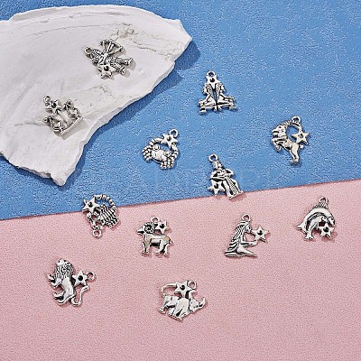 48Pcs Constellation Charm Pendant Twelve Zodiac Sign Pendants Alloy Charm for Jewelry Necklace Bracelet Earring Making Crafts JX340A-1