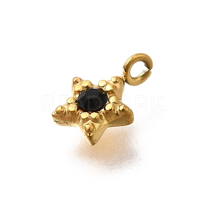 304 Stainless Steel Charms STAS-R159-58G-04-1
