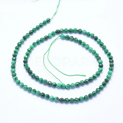 Natural Malachite Beads Strands G-I279-E15-03-1