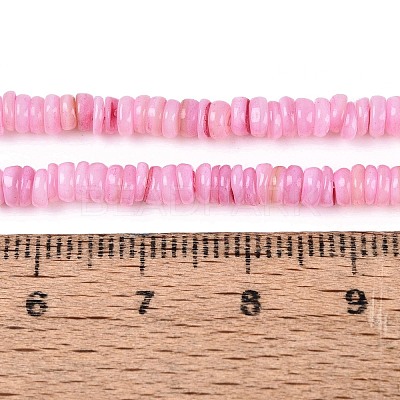 Natural Freshwater Shell Beads Strands SHEL-Q028-01E-1