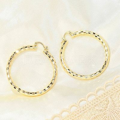 Brass Hoop Earrings EJEW-B117-06E-G-1