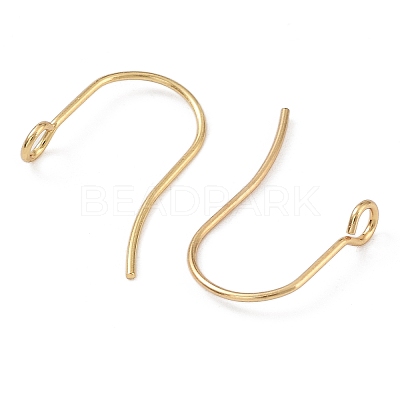 316 Surgical Stainless Steel Earring Hooks X-STAS-P162-13G-B01-1