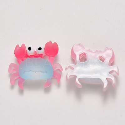Translucent Frosted Resin Cabochons LS-CRES-N022-12-1