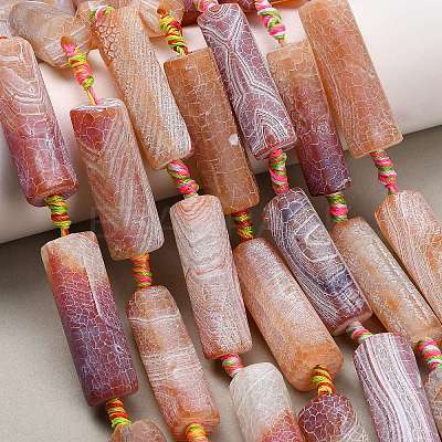 Natural Weathered Agate Beads Strands G-A321-C02-01A-1