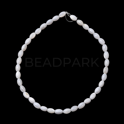 Natural Freshwater Shell Beads Strands SH-CBA2978-06A-1