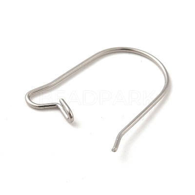 Tarnish Resistant 316 Surgical Stainless Steel Hoop Earrings Findings Kidney Ear Wires LS-STAS-E009-6-1