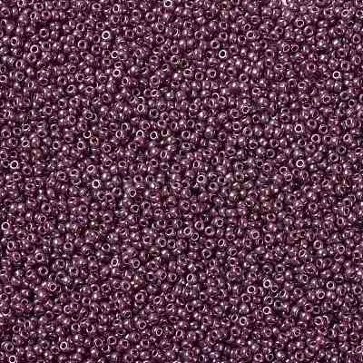 MIYUKI Round Rocailles Beads SEED-X0055-RR0313-1