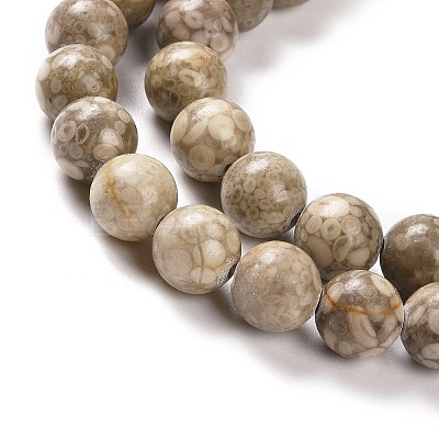 Natural Maifanite/Maifan Stone Beads Strands G-I187-8mm-01-1