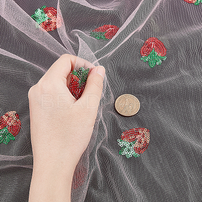 Mesh Embroidered Lace Trim OCOR-WH0073-34A-1