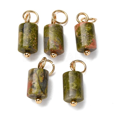 Natural Unakite Column Charms with 304 Stainless Steel Jump Rings G-Q032-01B-1