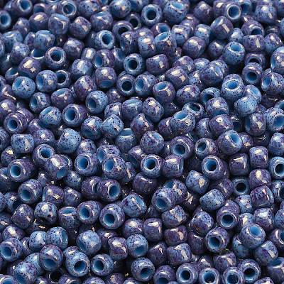 TOHO 6/0 Round Beads SEED-XTR06-1204-1