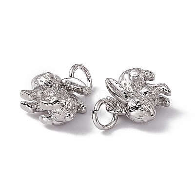 Rack Plating Brass Charms KK-C007-17P-1