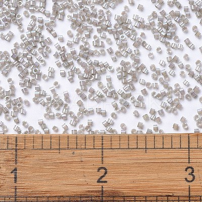 MIYUKI Delica Beads X-SEED-J020-DB1877-1