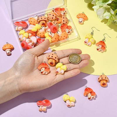 30Pcs 5 Styles Resin Pendants RESI-CJ0005-20-1