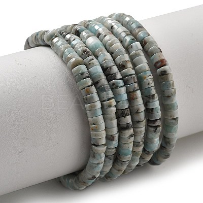 Natural Larimar Beads Strands G-Q024-B03-01-1