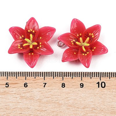 Opaque Resin Pendants CRES-D328-04F-1