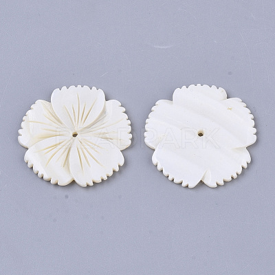 Freshwater Shell Beads SHEL-T016-04-1