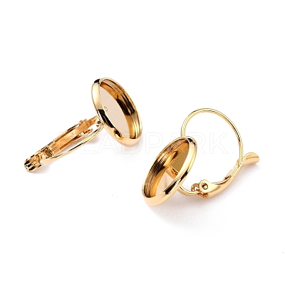 304 Stainless Steel Leverback Earring Settings X-STAS-F191-03G-14mm-1