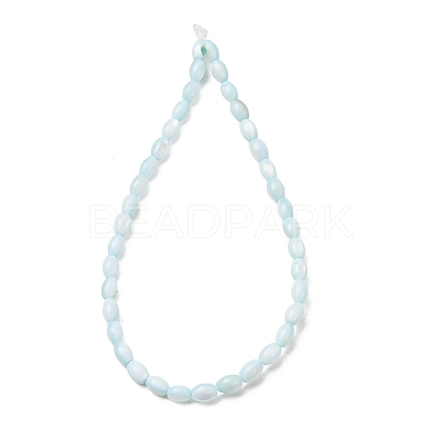 Dyed Natural Freshwater Shell Beads Strands SH-CBA2978-06C-1