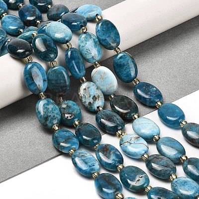 Natural Apatite Beads Strands G-H005-A03-02-1