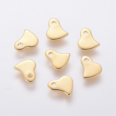 201 Stainless Steel Charms X-STAS-L234-043G-1