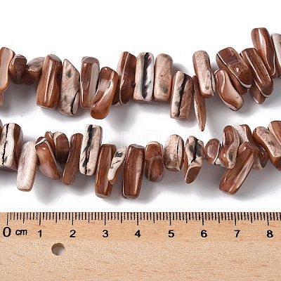 Dyed Natural Trochus Shell Beads Strands SSHEL-C013-09B-1