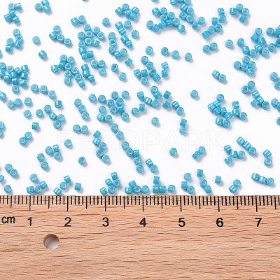 Cylinder Seed Beads SEED-H001-H10-1