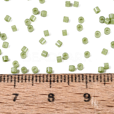 FGB 11/0 Grade A Baking Paint Glass Seed Beads SEED-S030-1037-1