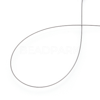 Non-Tarnish Tiger Tail Wire TWIR-N004-0.3mm-P-1