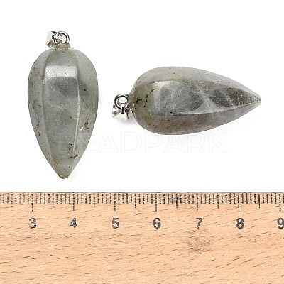Natural Labradorite Pendants GG-K002-16M-1