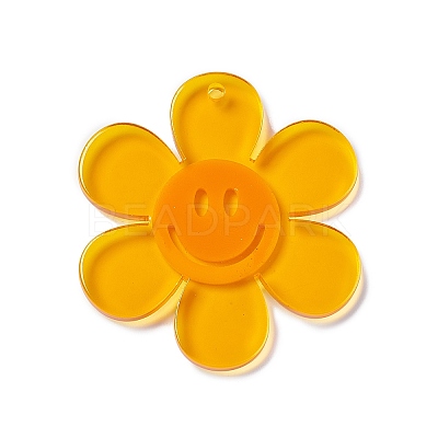 Transparent Acrylic Big Pendants OACR-P012-A01-1