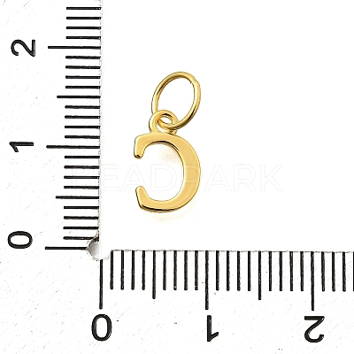 925 Sterling Silver Pendants STER-R011-07G-C-1