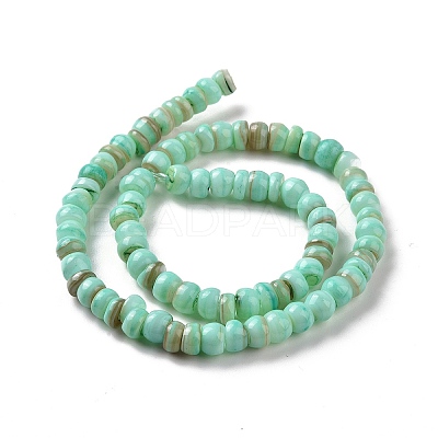 Natural Cultured Freshwater Shell Beads Strands SHEL-F002-01C-1