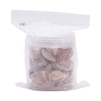 1 Box Scallop Seashells Clam Shell Dyed Beads with Holes for Craft Making 40-50pcs BSHE-YW0001-01-1
