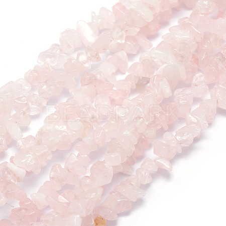 Natural Rose Quartz Beads Strands G-P332-63-1