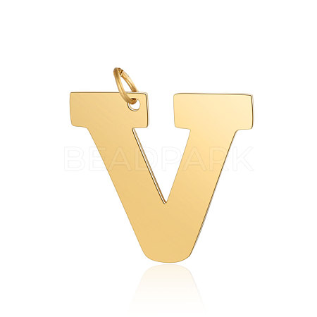 201 Stainless Steel Pendants STAS-S105-T585G-V-1