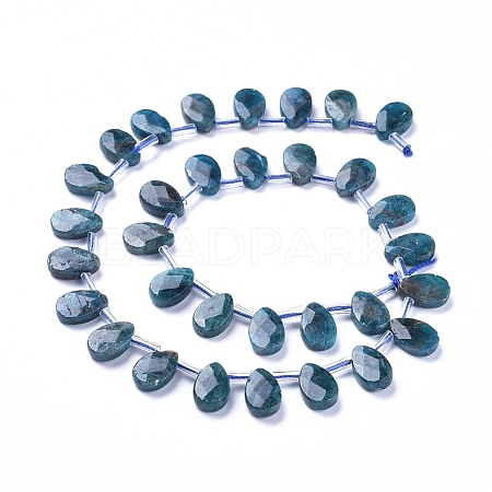 Natural Apatite Beads Strands G-G805-B02-1