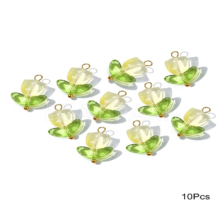 Handmade Lampwork Pendants PALLOY-YW028-01-1