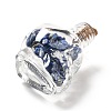 Mixed Gemstones Chips in Skull Glass Bottle Display Decorations DJEW-G039-02-4