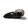 Crow Raven Bird Skull Resin Home Display Decoration RESI-A018-01A-4