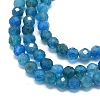 Natural Apatite Beads Strands G-G106-C06-02-3